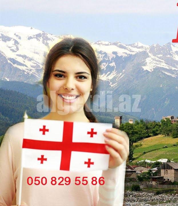 Gürcü dili kursları