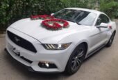 mustang bey gelin toy masini sifarisi