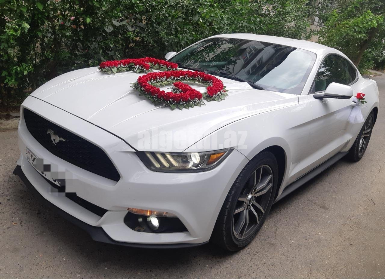 mustang bey gelin toy masini sifarisi