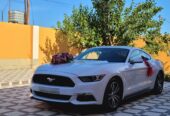 mustang bey gelin toy masini sifarisi