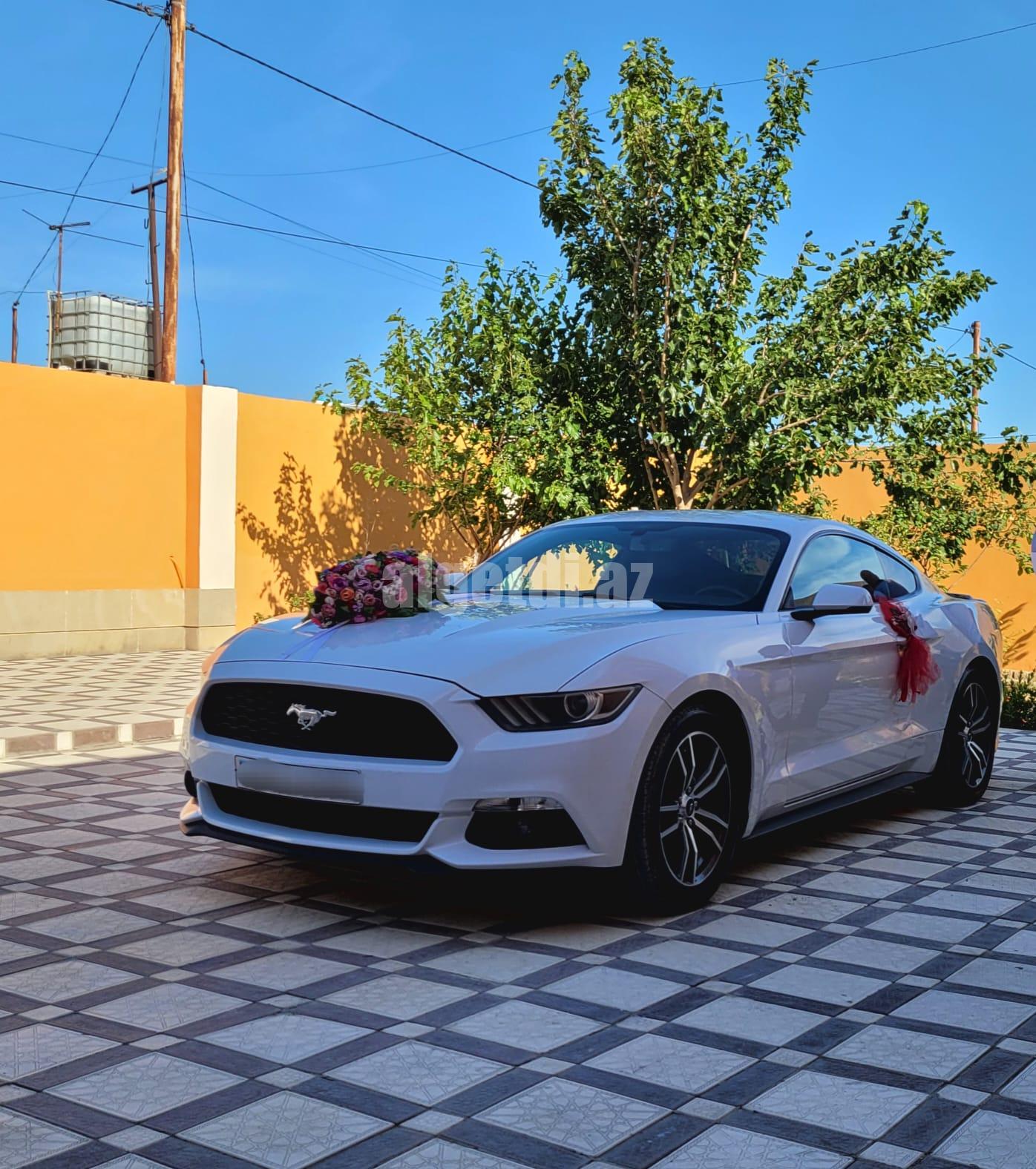 mustang bey gelin toy masini sifarisi