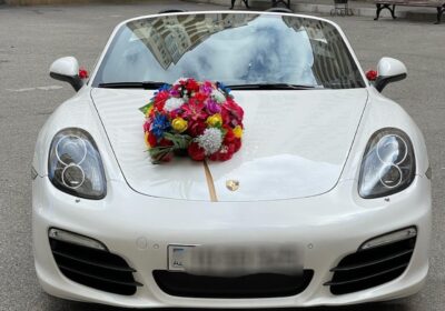 9e8377cf-b7c6-437a-8ab8-17e80905eab1