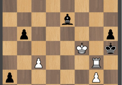 Lumii_20230913_161021701