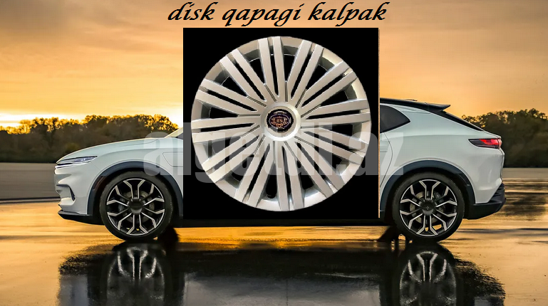 nikel lider diskqapagi r13/r14/r15/r16