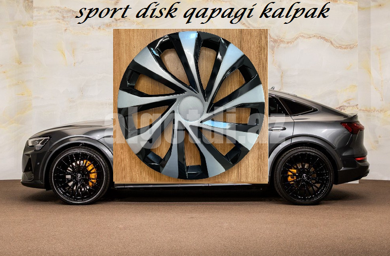disk kalpak r15/r14