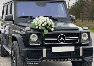 ace9f3fa-b091-4cb4-80af-0b093e84e13a