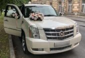 cadillac bey gelin toy masini sifarisi