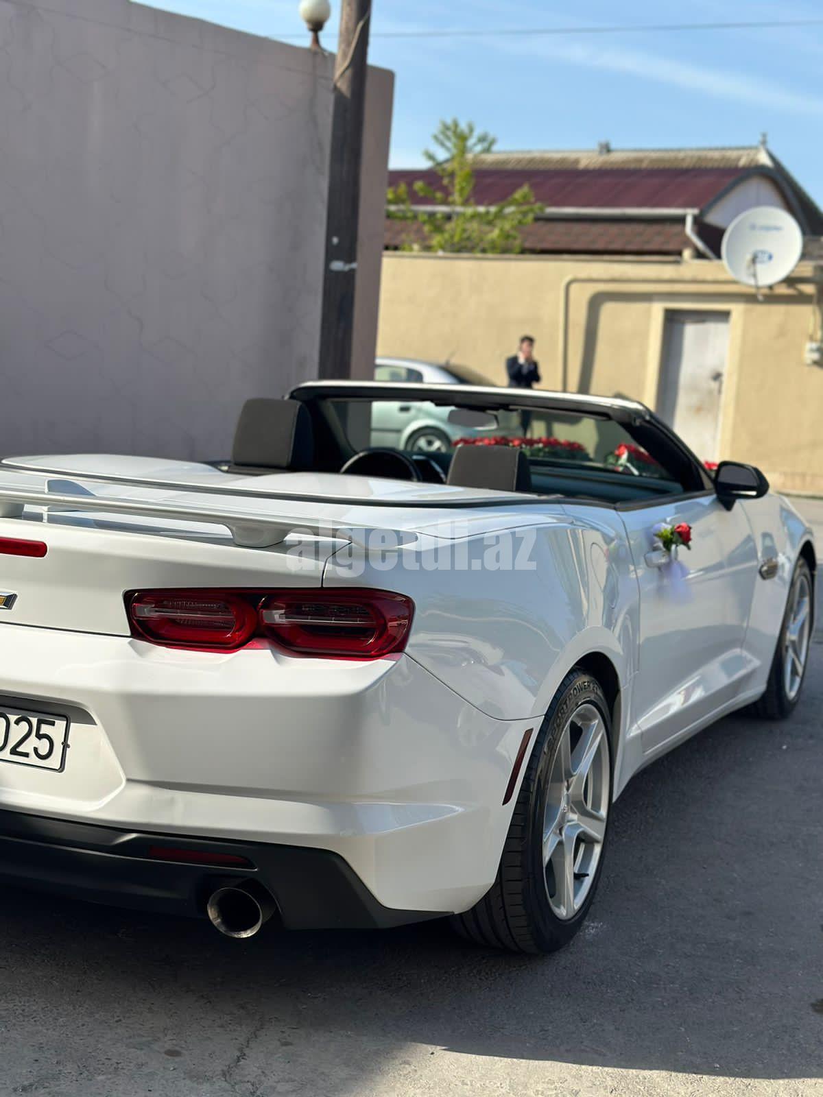 camaro bey gelin toy masini sifarisi