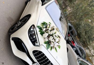 e9531a79-d195-40ed-87dd-935cc4030f8a