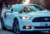 mustang bey gelin toy masini sifarisi