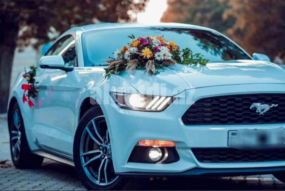 mustang bey gelin toy masini sifarisi