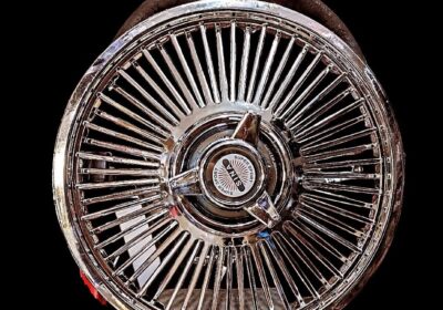 photo_5316552184369893189_y