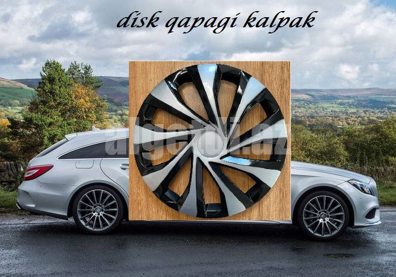 disk kalpak r15/r14
