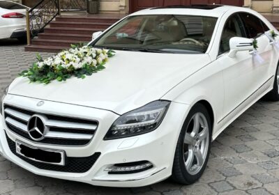 0fe228d1-f1dd-423c-a8db-c6badc309c9e