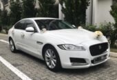 jaguar bey gelin toy masini sifarisi