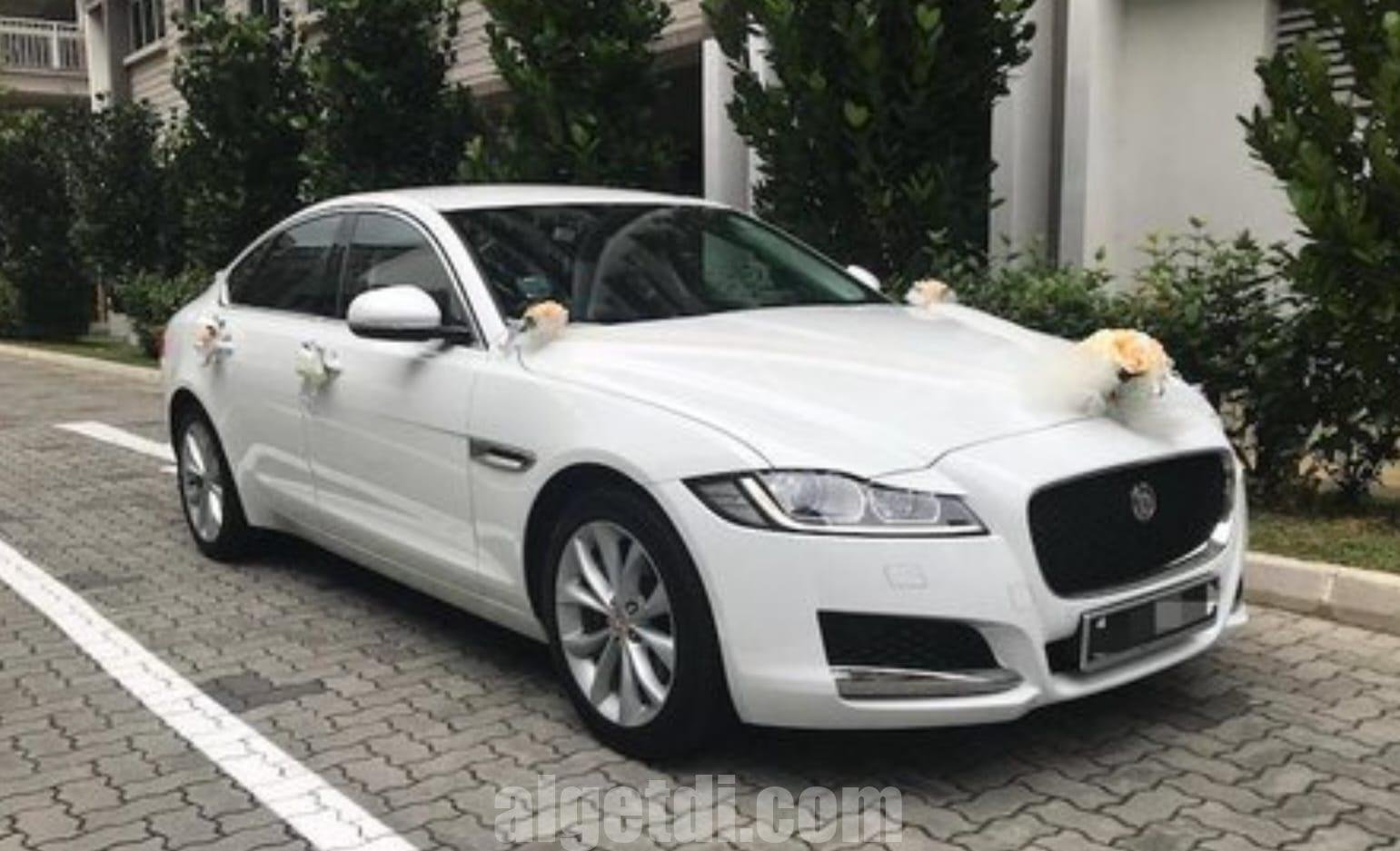 jaguar bey gelin toy masini sifarisi