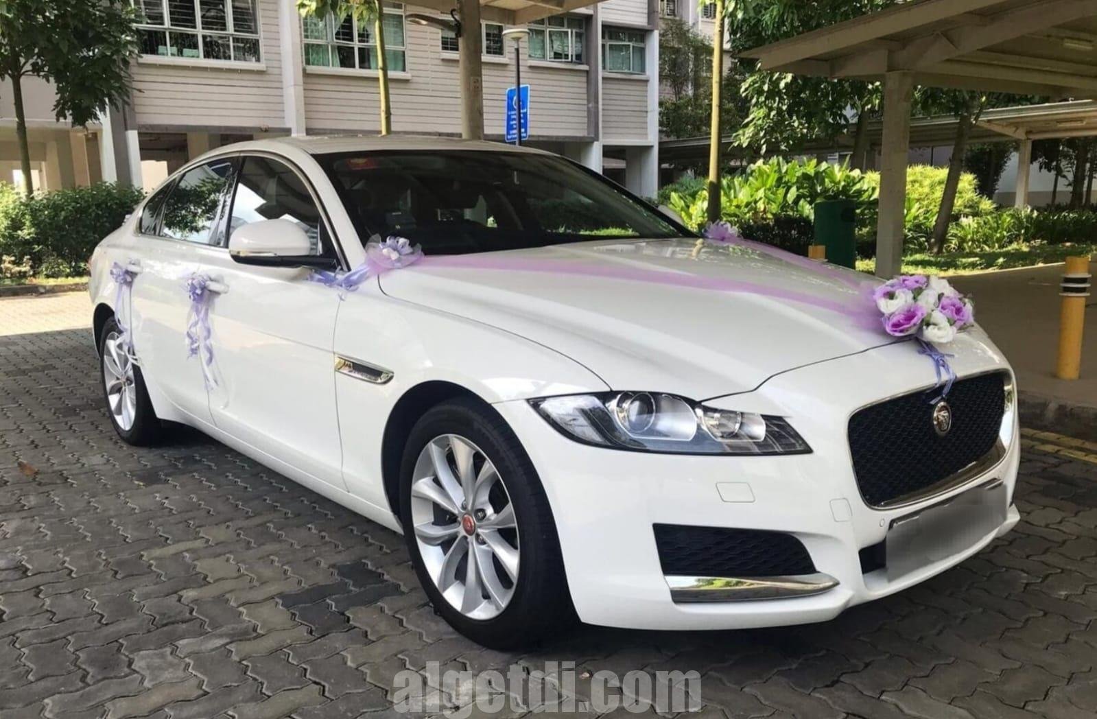 jaguar bey gelin toy masini sifarisi